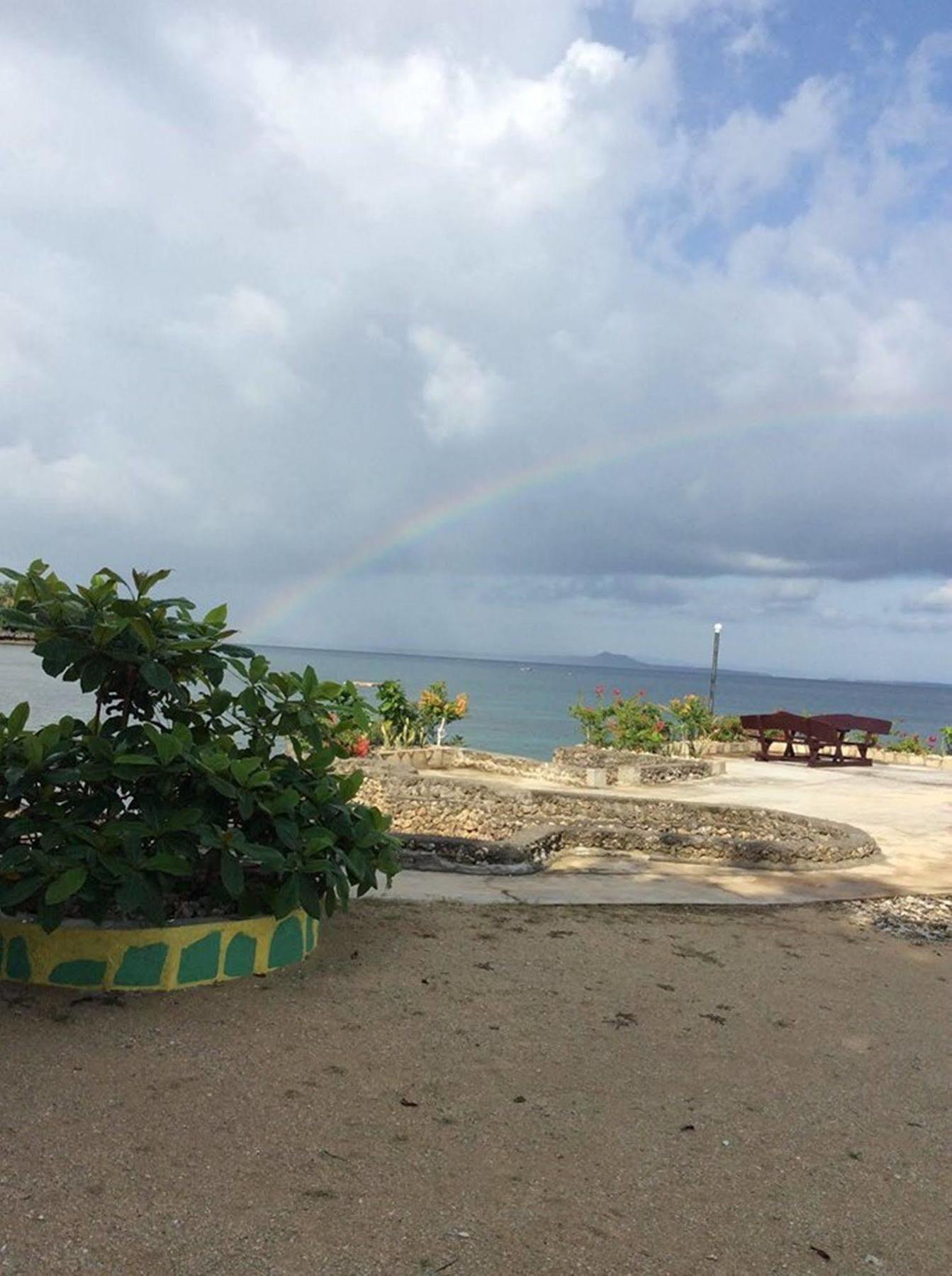 Resort Camotes Flying Fish