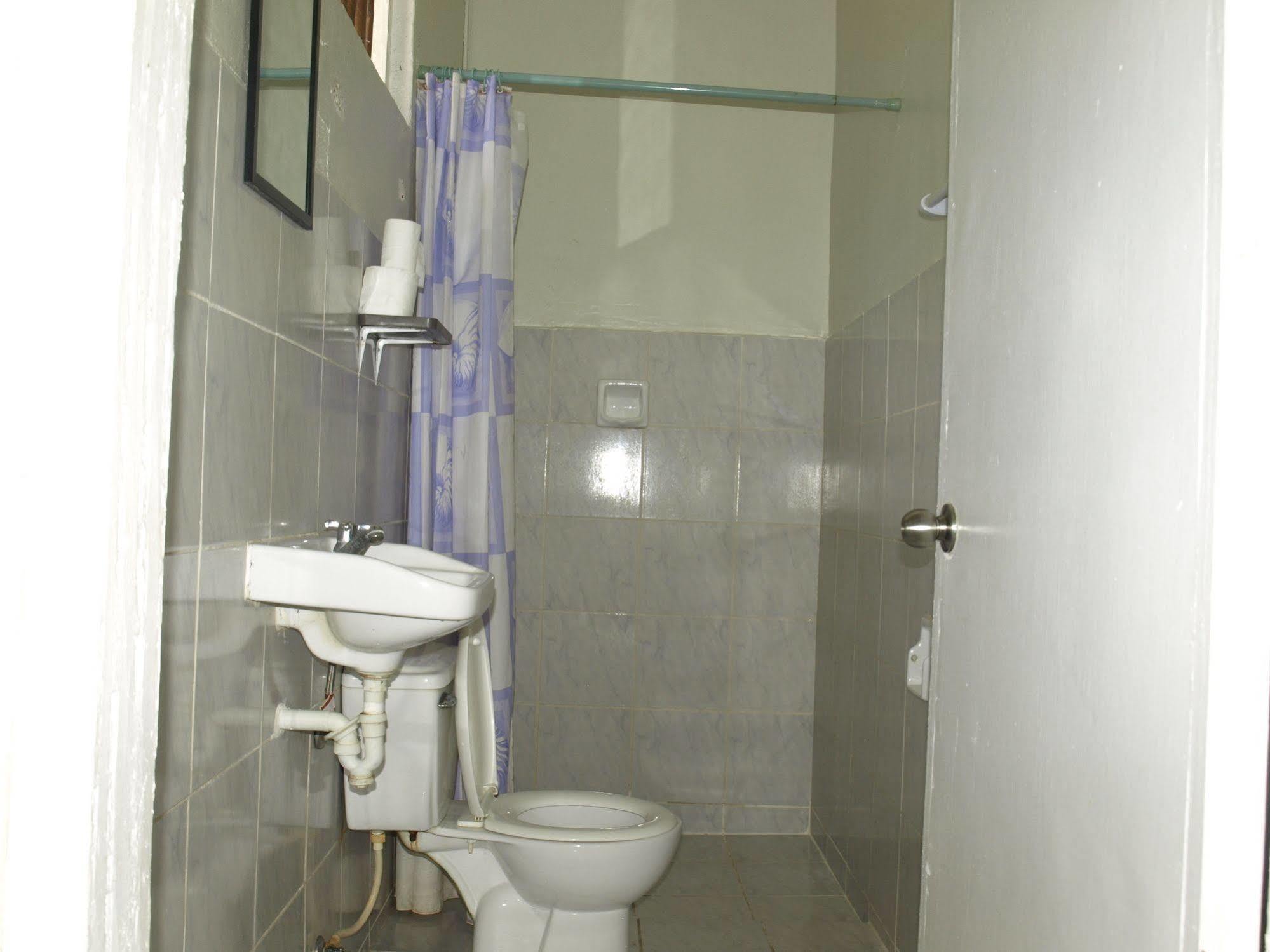 Purple Snapper Dive - Hostel/backpacker 2* Logon