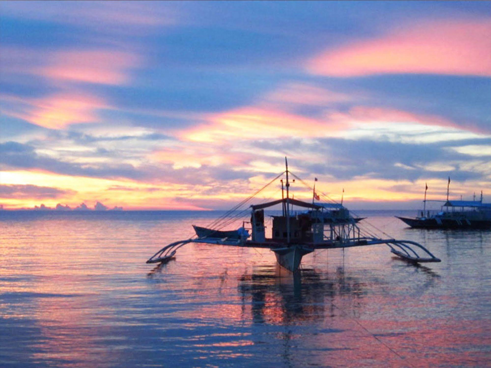 Purple Snapper Dive - Hostel/backpacker Logon