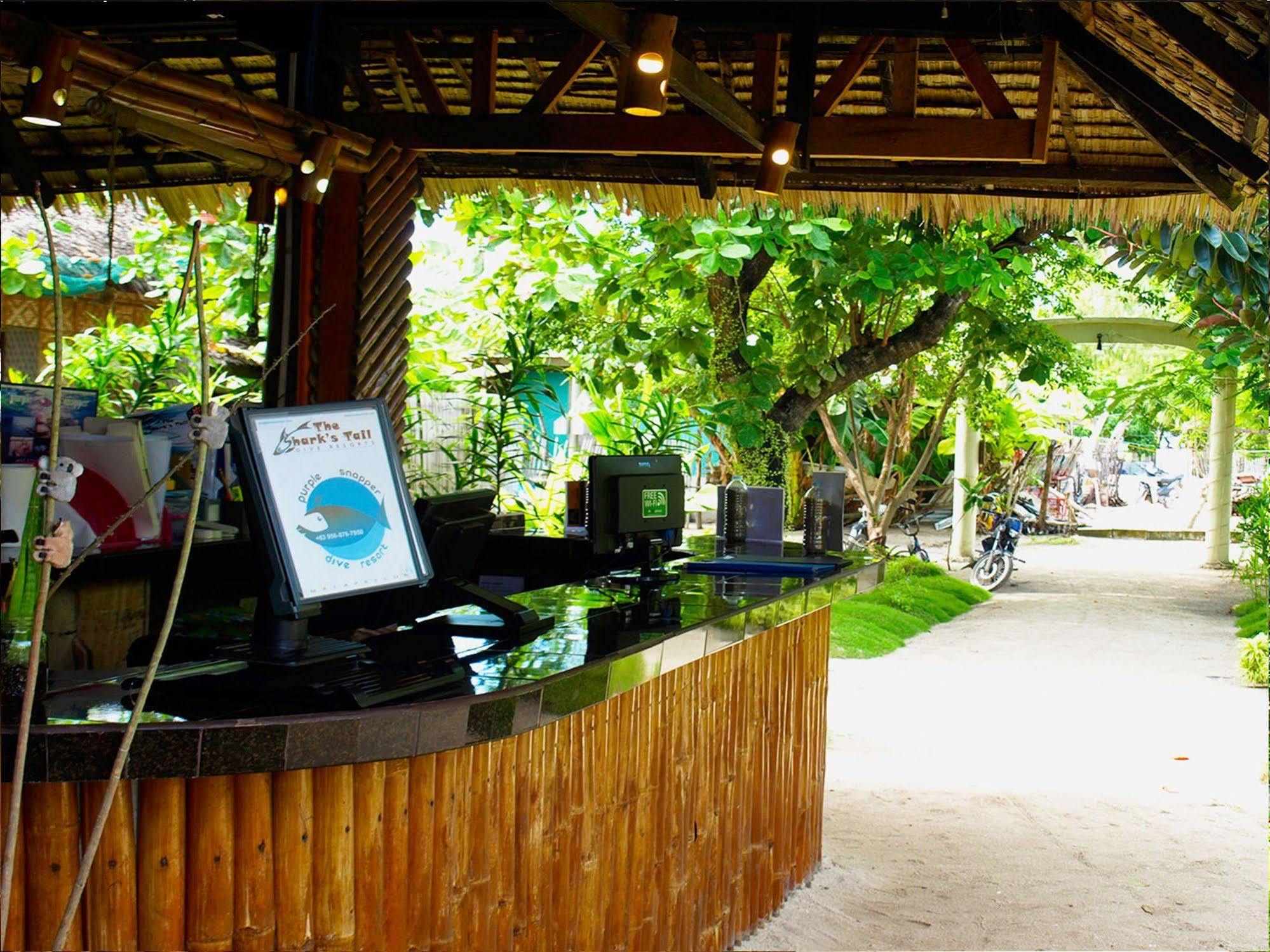 Purple Snapper Dive - Hostel/backpacker Hotel Logon
