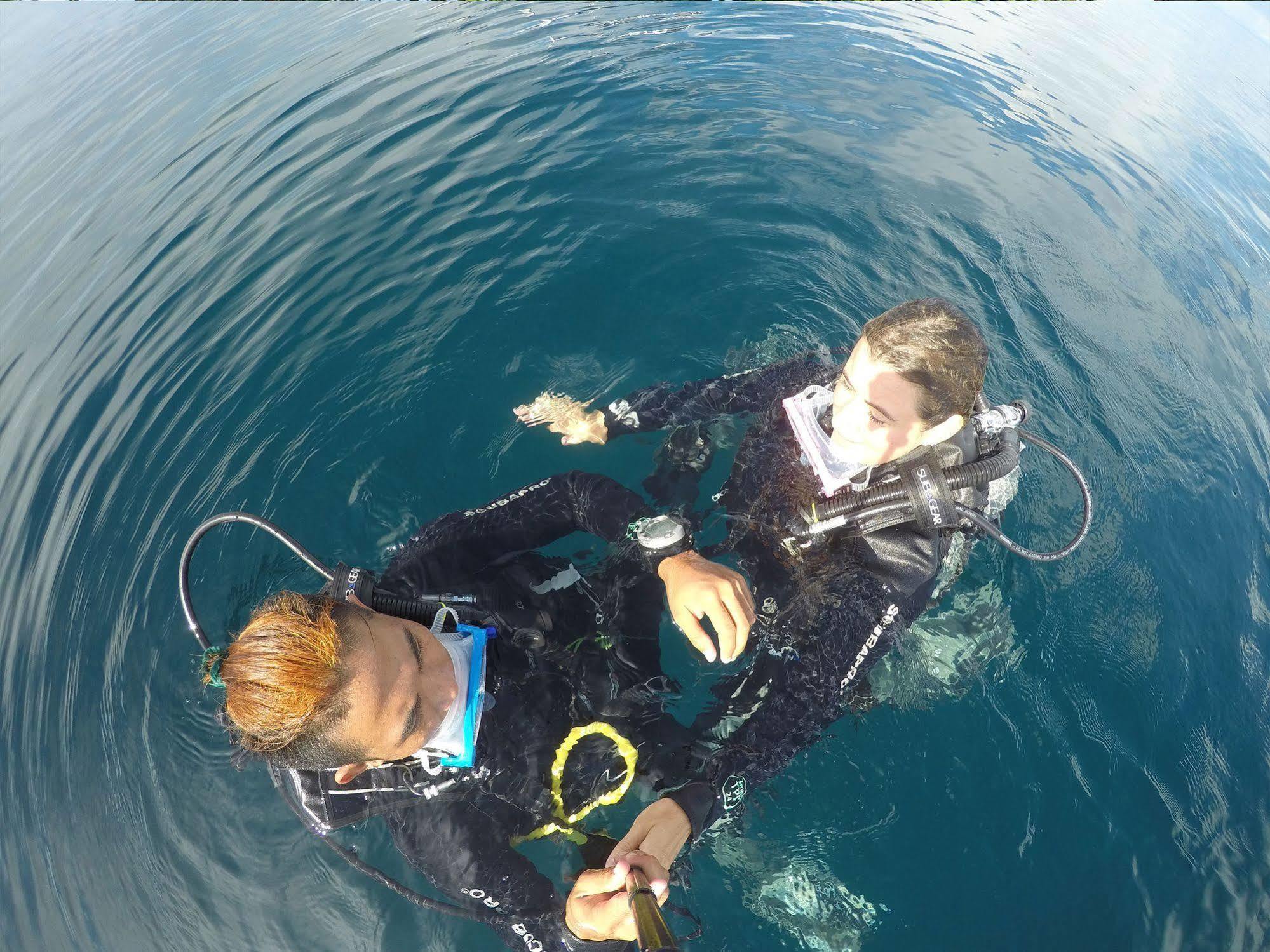 Purple Snapper Dive - Hostel/backpacker Logon