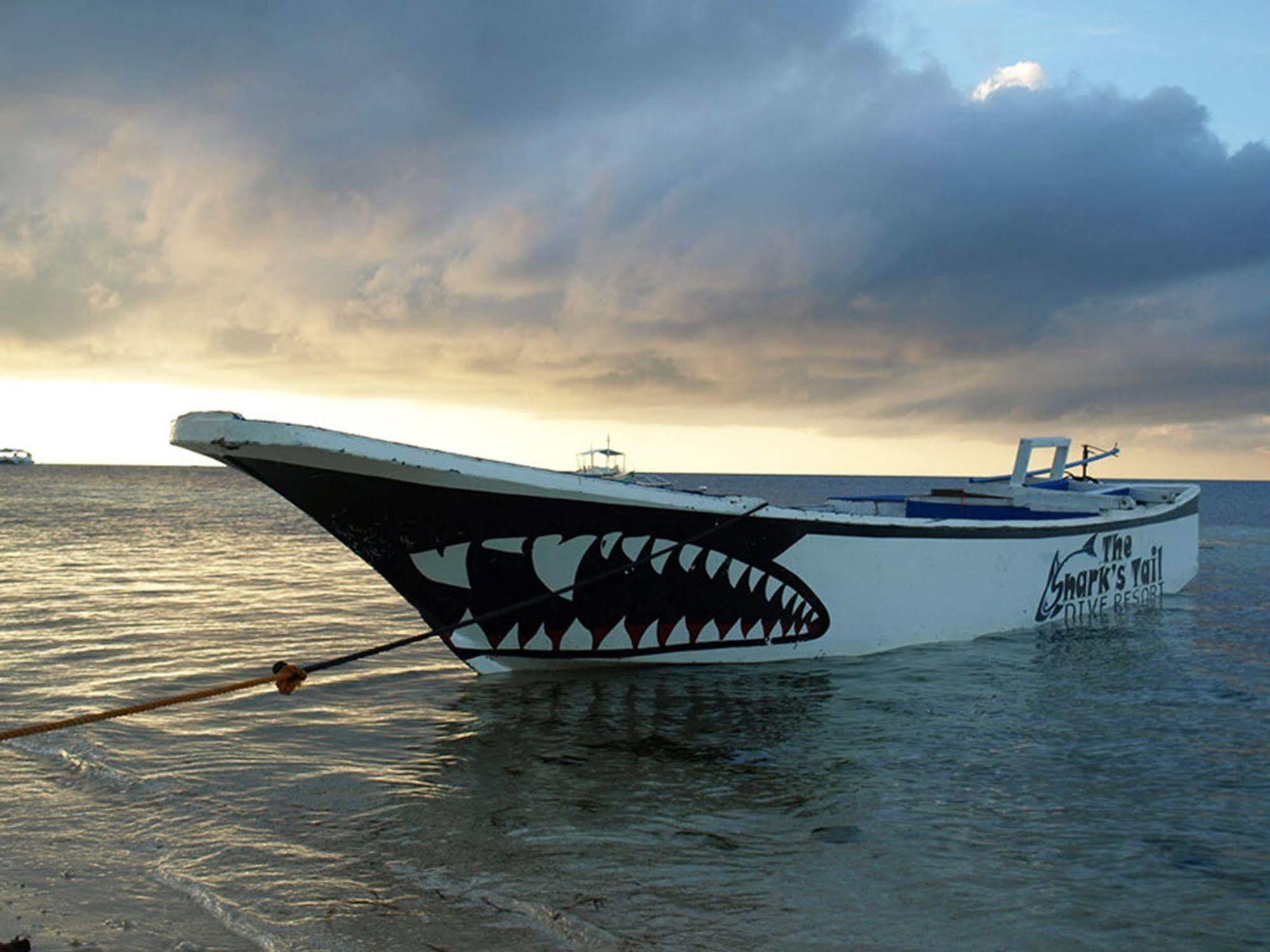 Purple Snapper Dive - Hostel/backpacker 2*