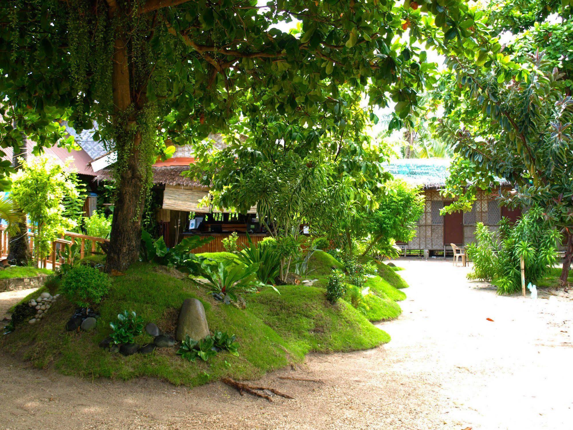 Purple Snapper Dive - Hostel/backpacker Hotel