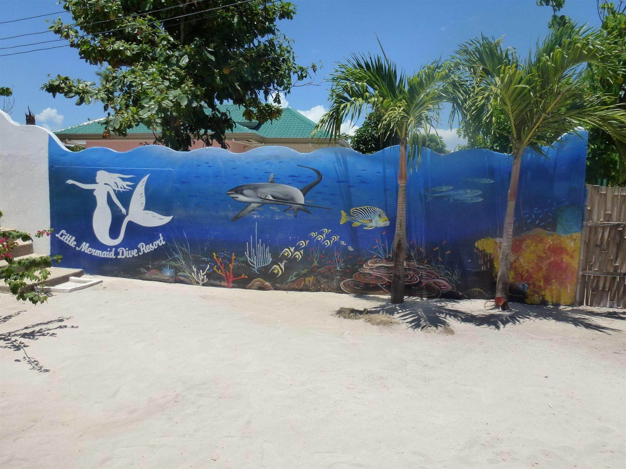 Little Mermaid Dive 3*