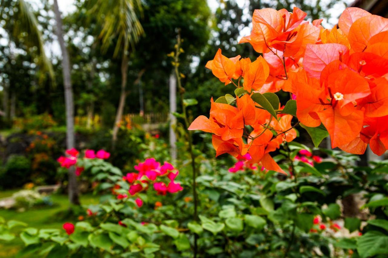 Beach House - Cebu Bahay bakasyunan *