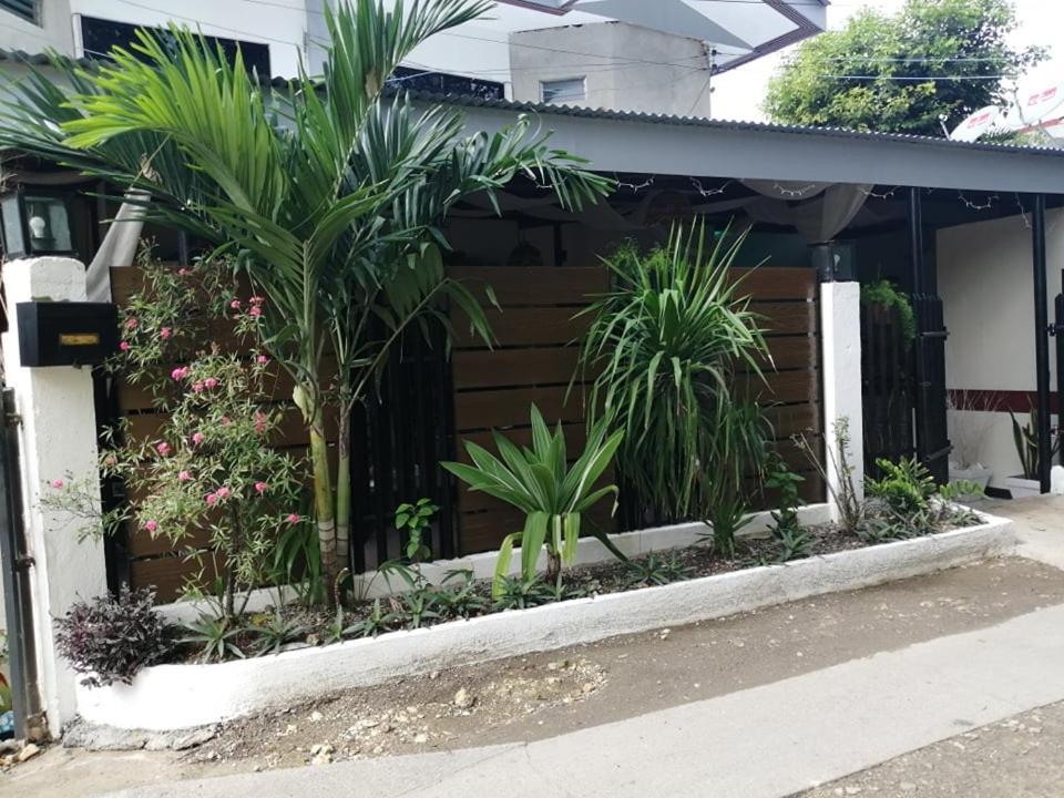 Cozy Mactan Bed & Breakfast Lapu-Lapu City