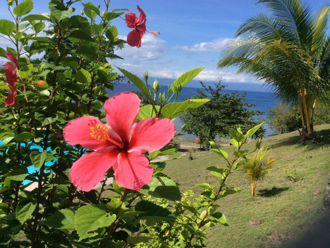 Cuestas And Restaurant Resort *