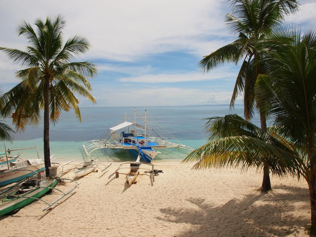 Ocean Vida And Dive 3*