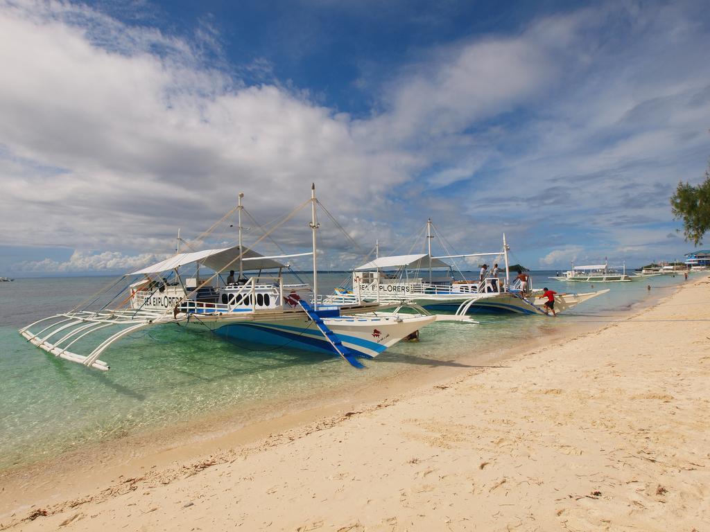 Ocean Vida And Dive