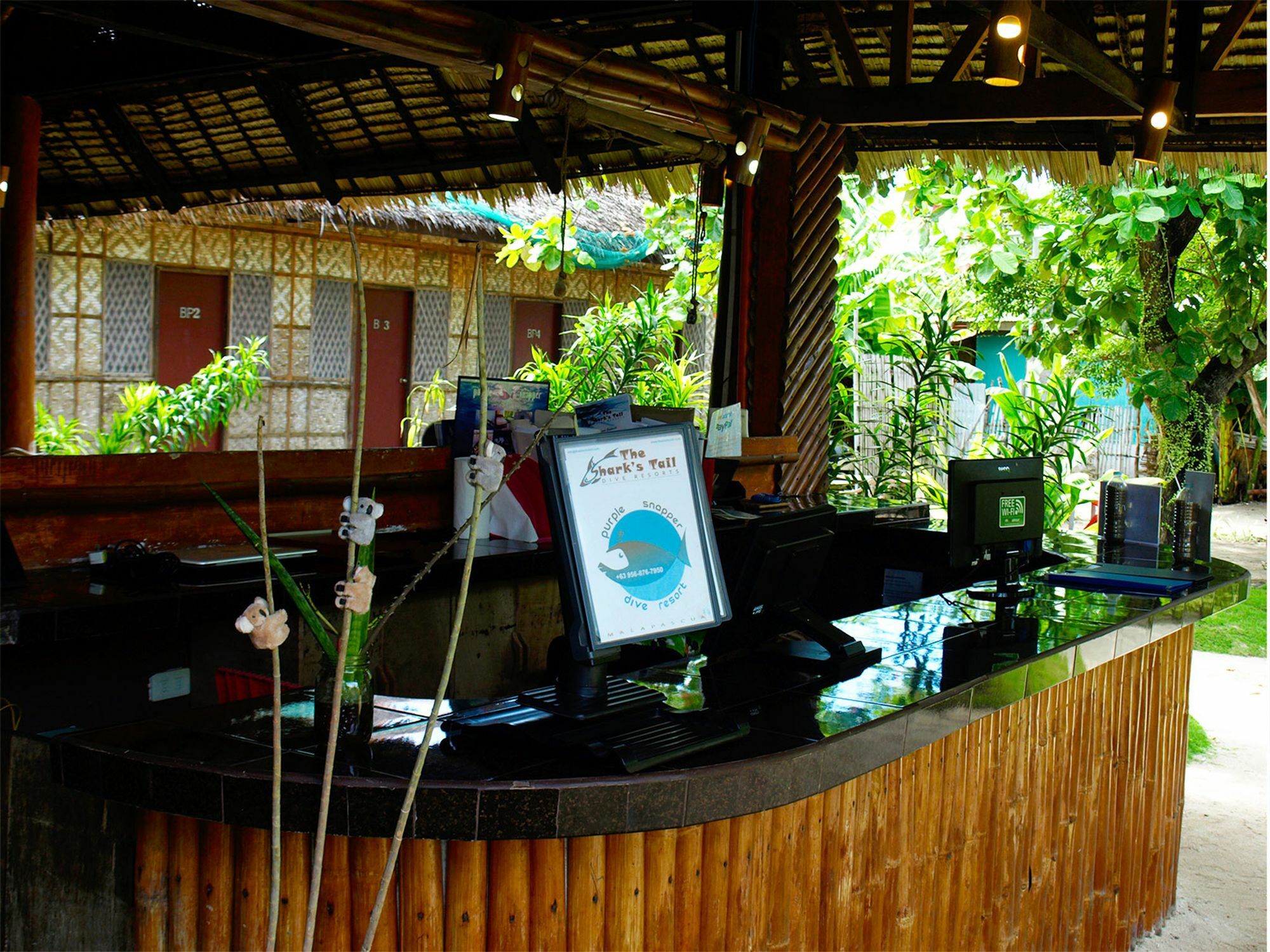 Purple Snapper Dive - Hostel/backpacker 2*
