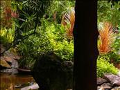 Parkside Alta Hotel Cebu