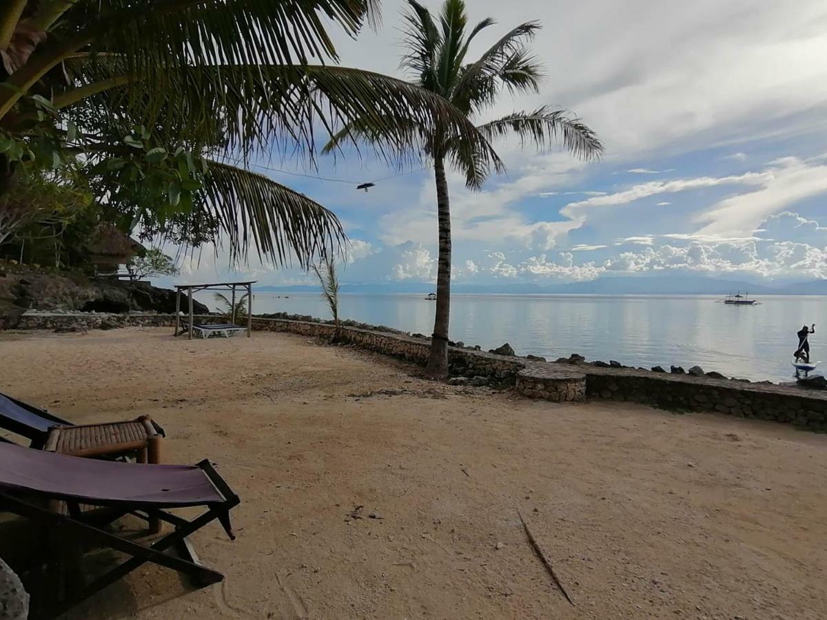 The Blue Orchid Moalboal