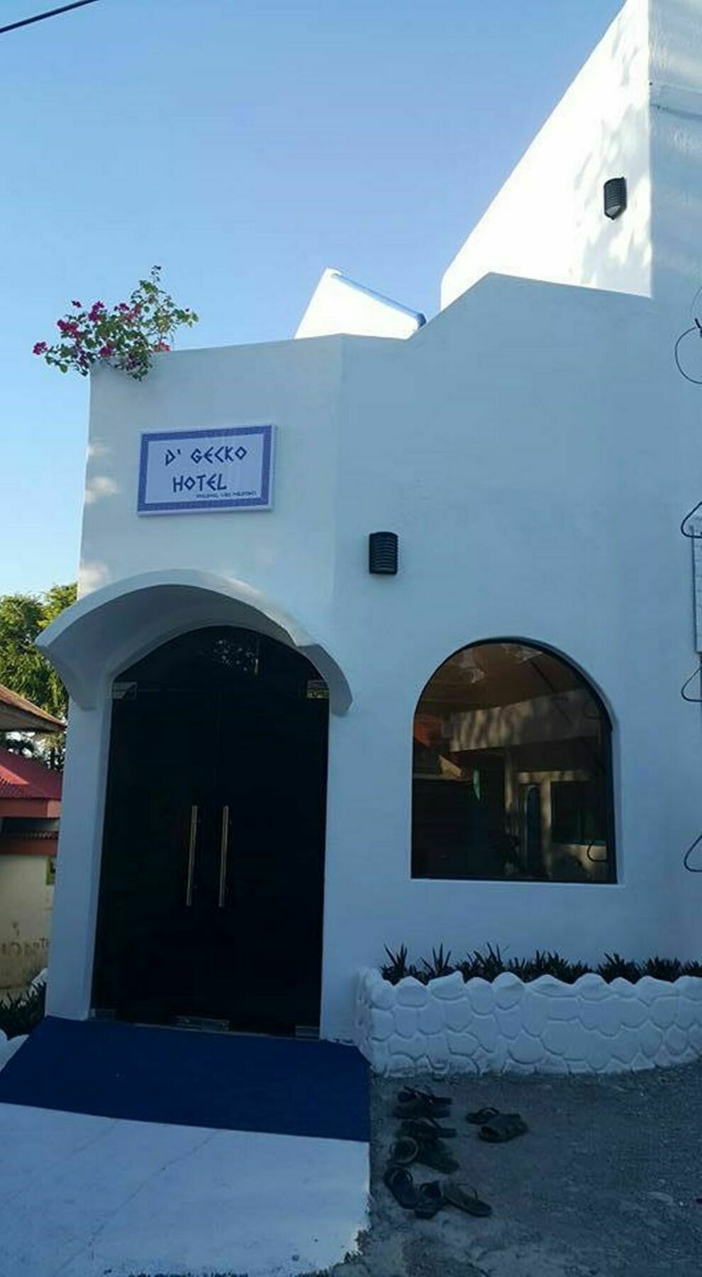 Hotel D'gecko *
