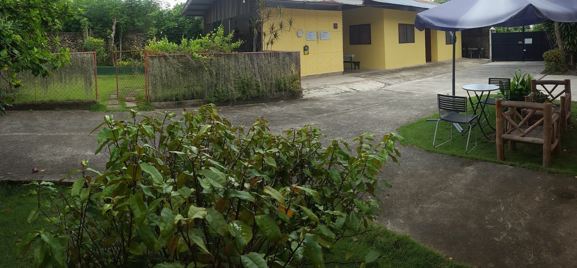 Mj's Residences Garden Moalboal