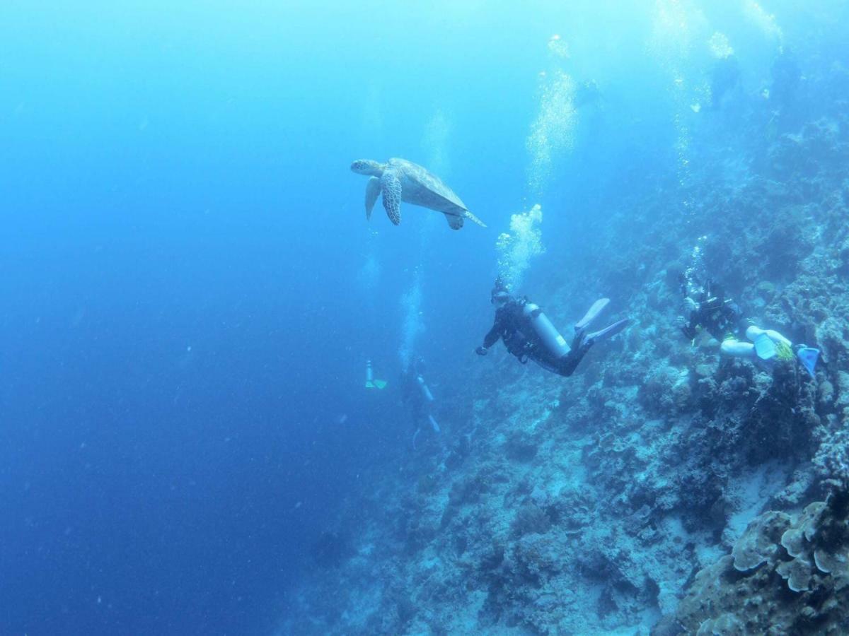 Resort Love'S Beach & Dive Resort Moalboal