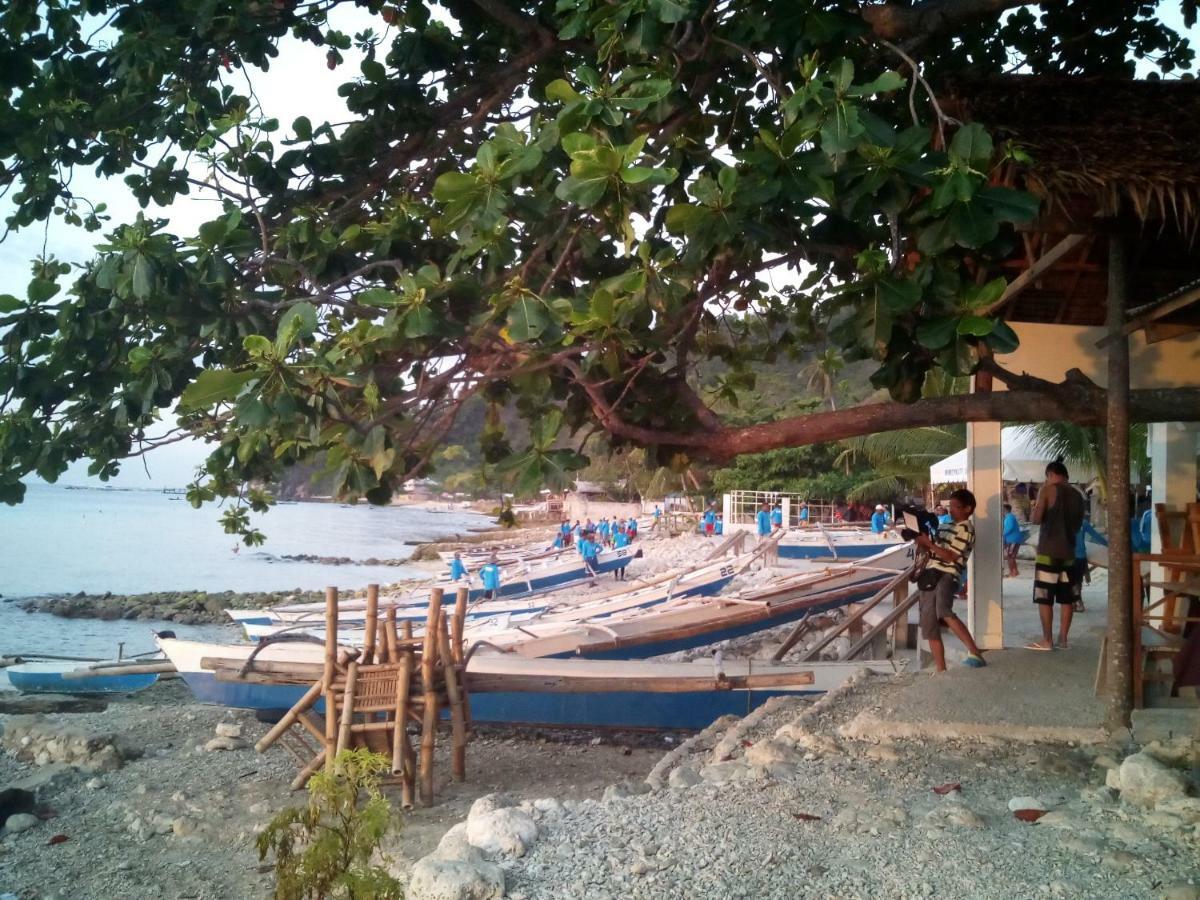 Bed & Breakfast Mother Teresa And Restaurant