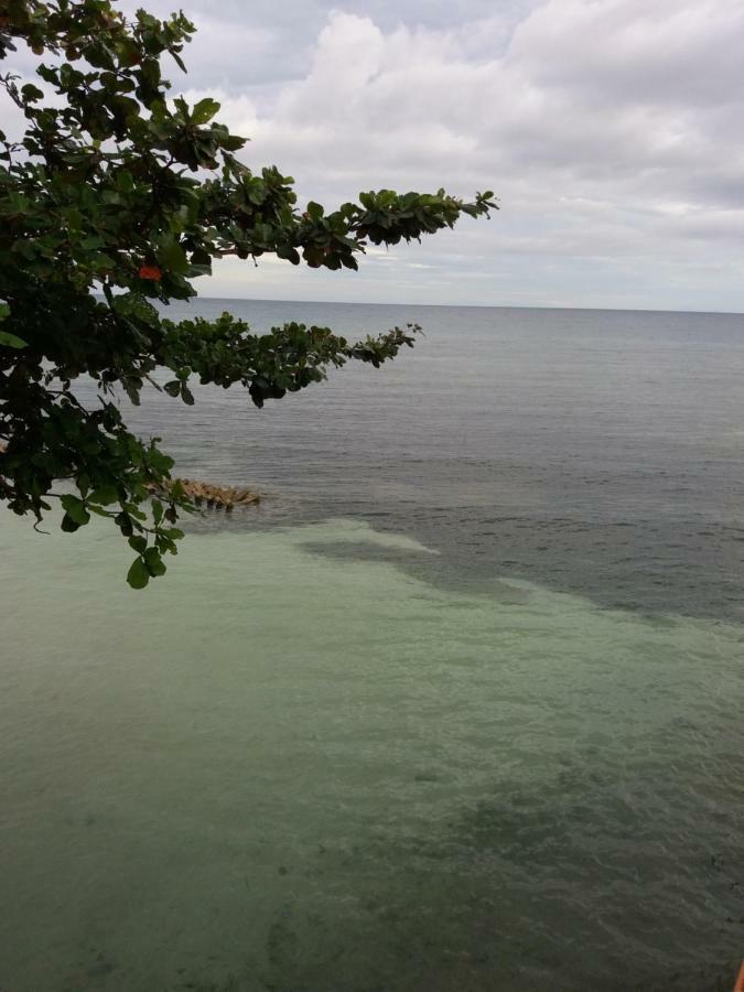 Sascha's Resort Oslob