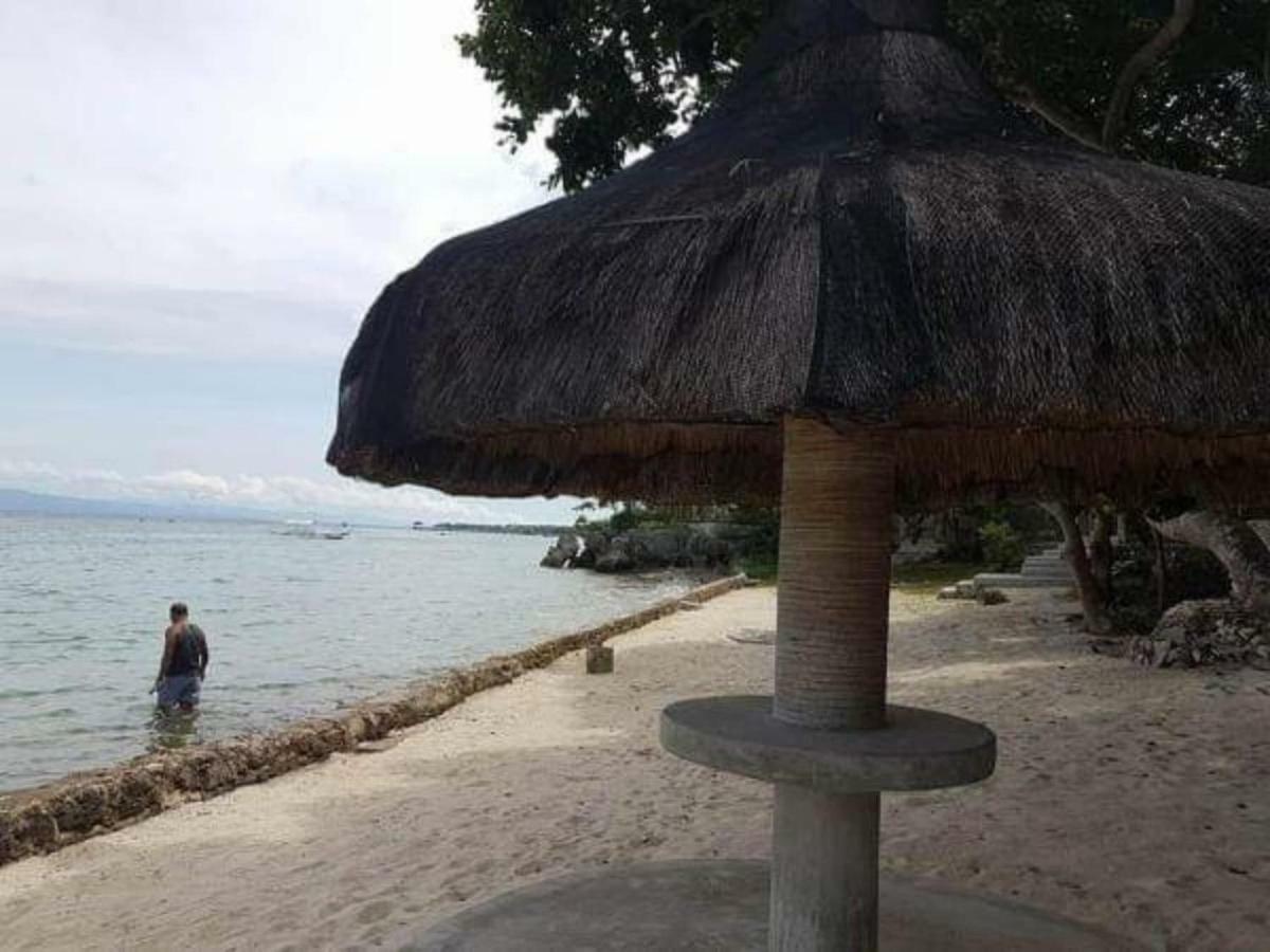 Anekha's Guest Moalboal