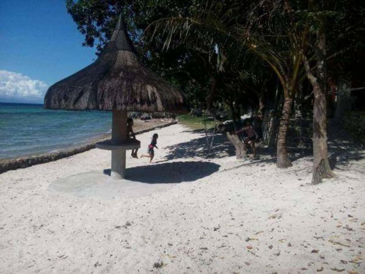 Anekha's Guest Moalboal