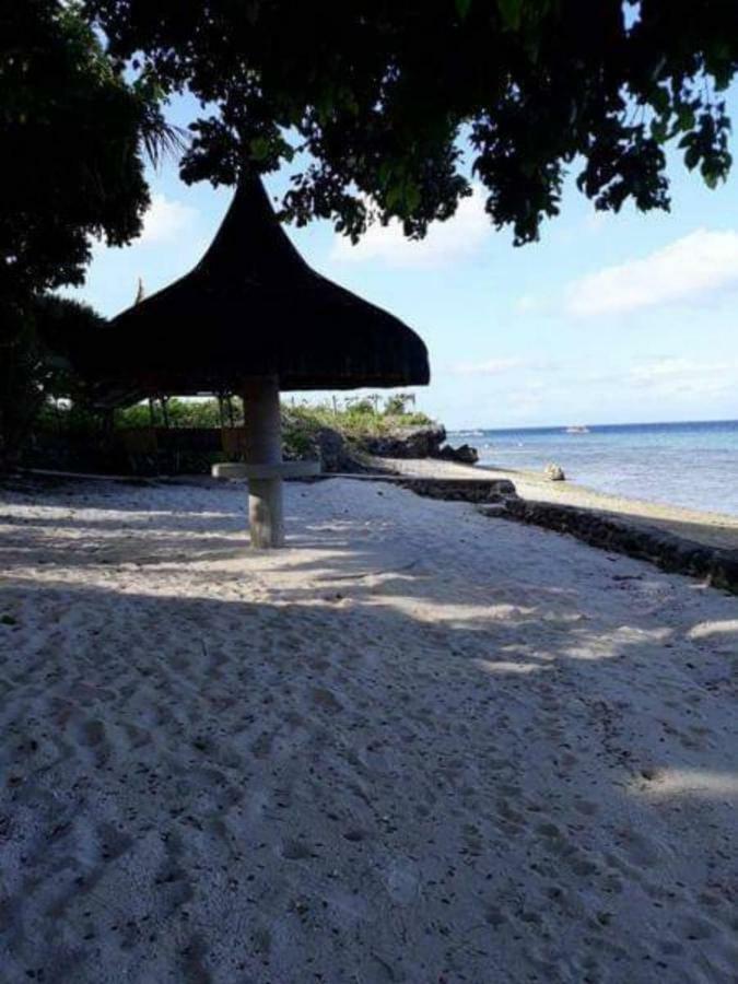 Anekha's Guest Moalboal