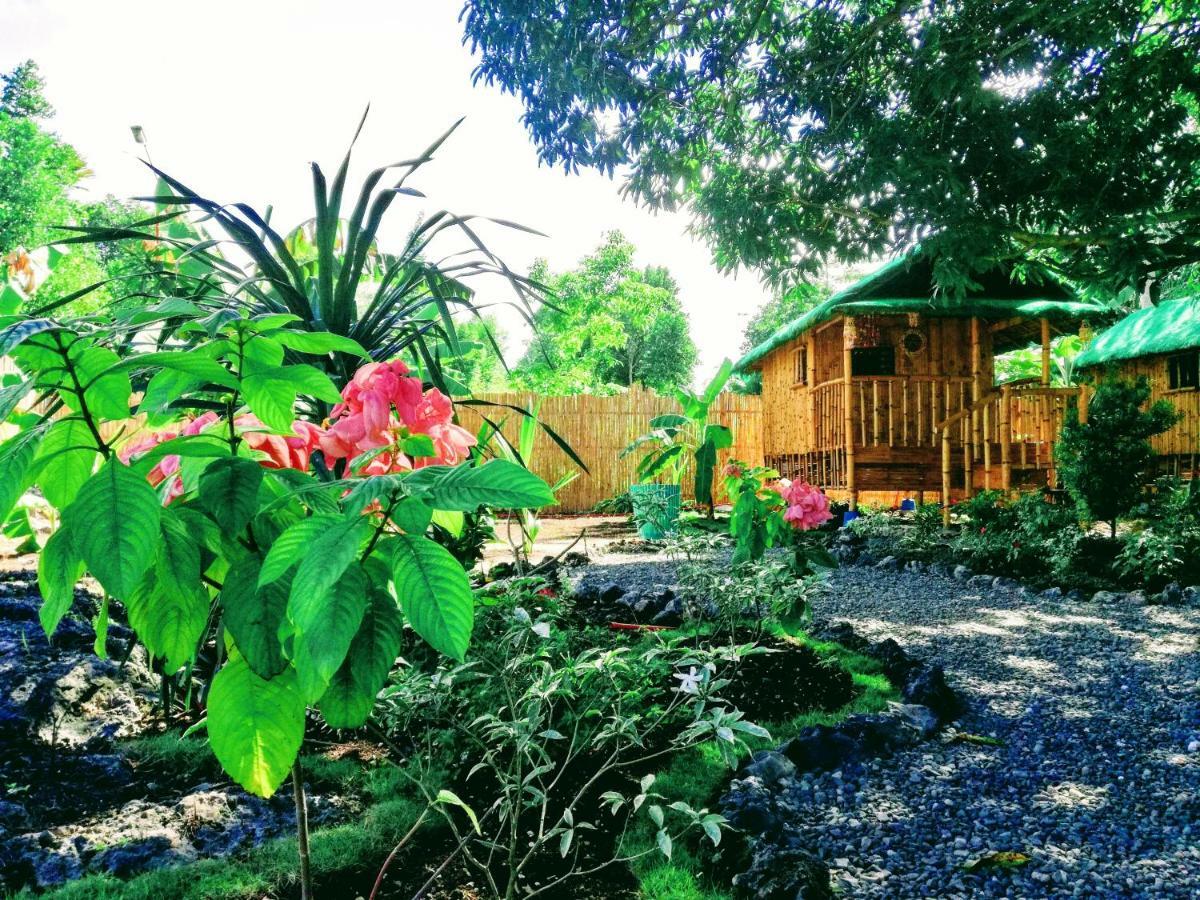 Bamboo House /