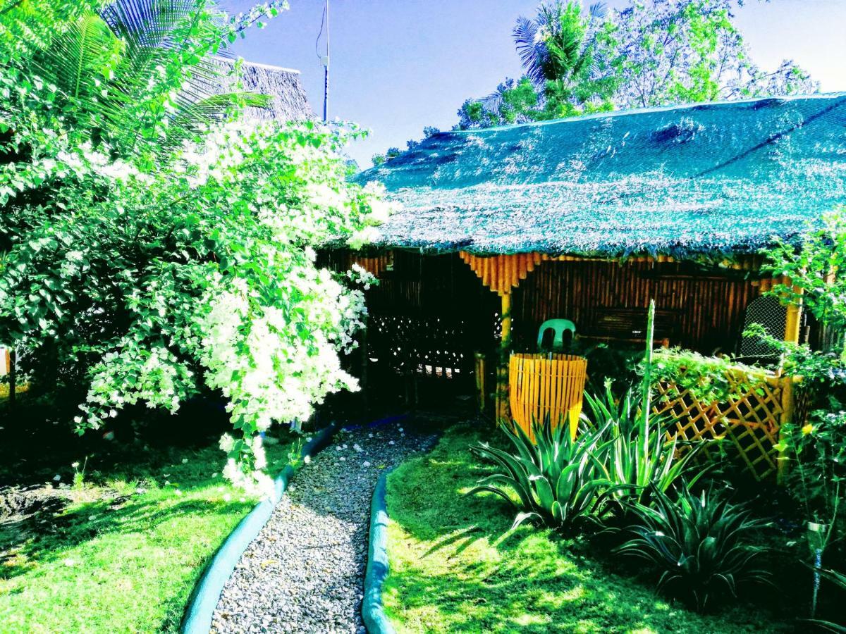 Bed & Breakfast Bamboo House /