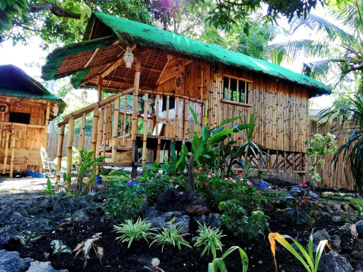 Bamboo House / Bed & Breakfast