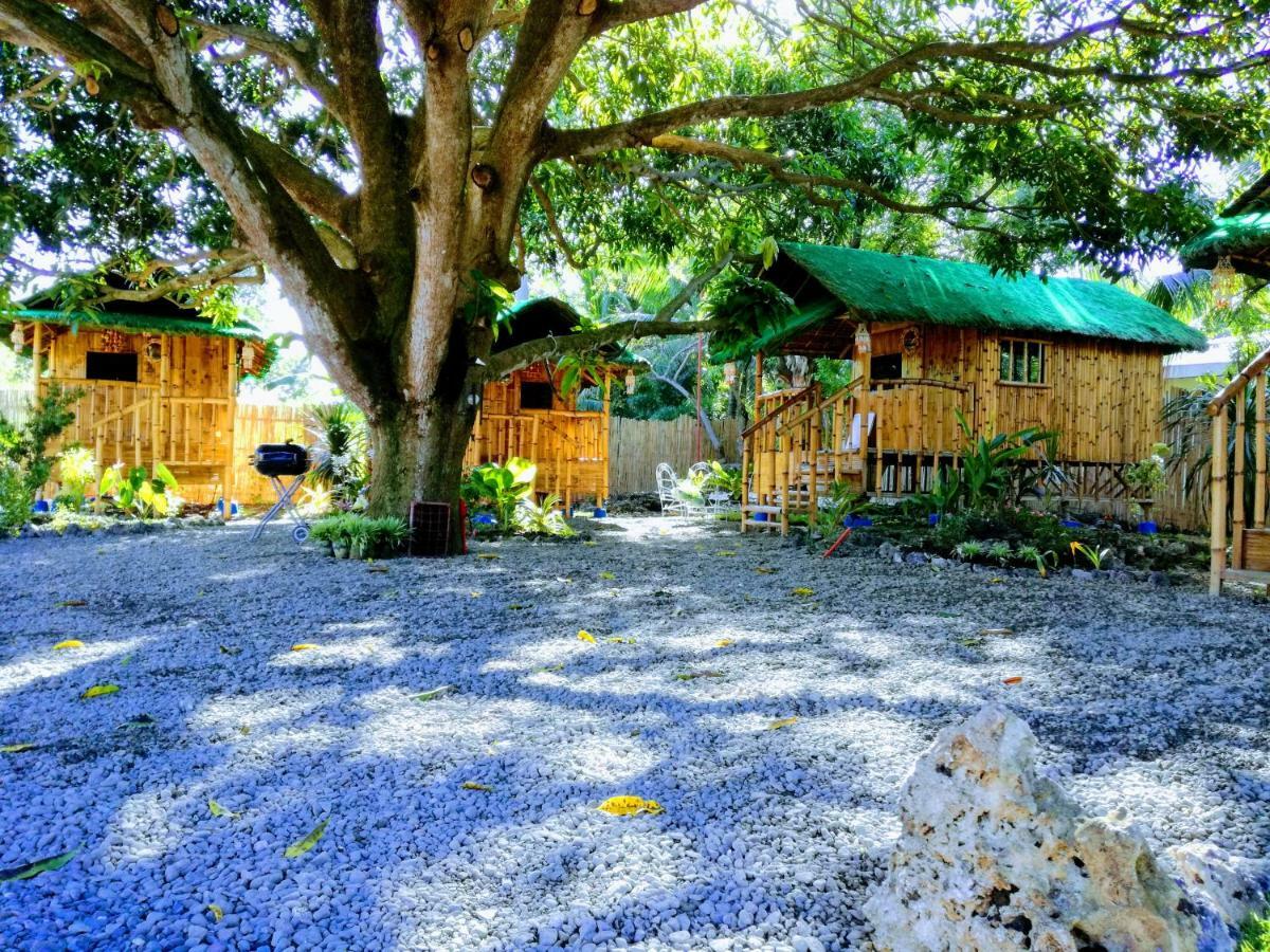 Bamboo House / Bed & Breakfast