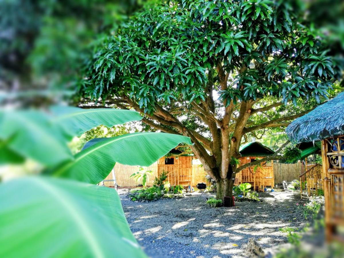 Bamboo House /