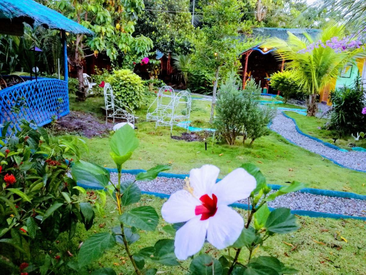Bed & Breakfast Bamboo House /