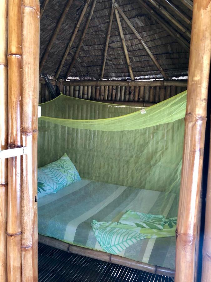 Lionfish Backpackers (adults Only) Hostel *