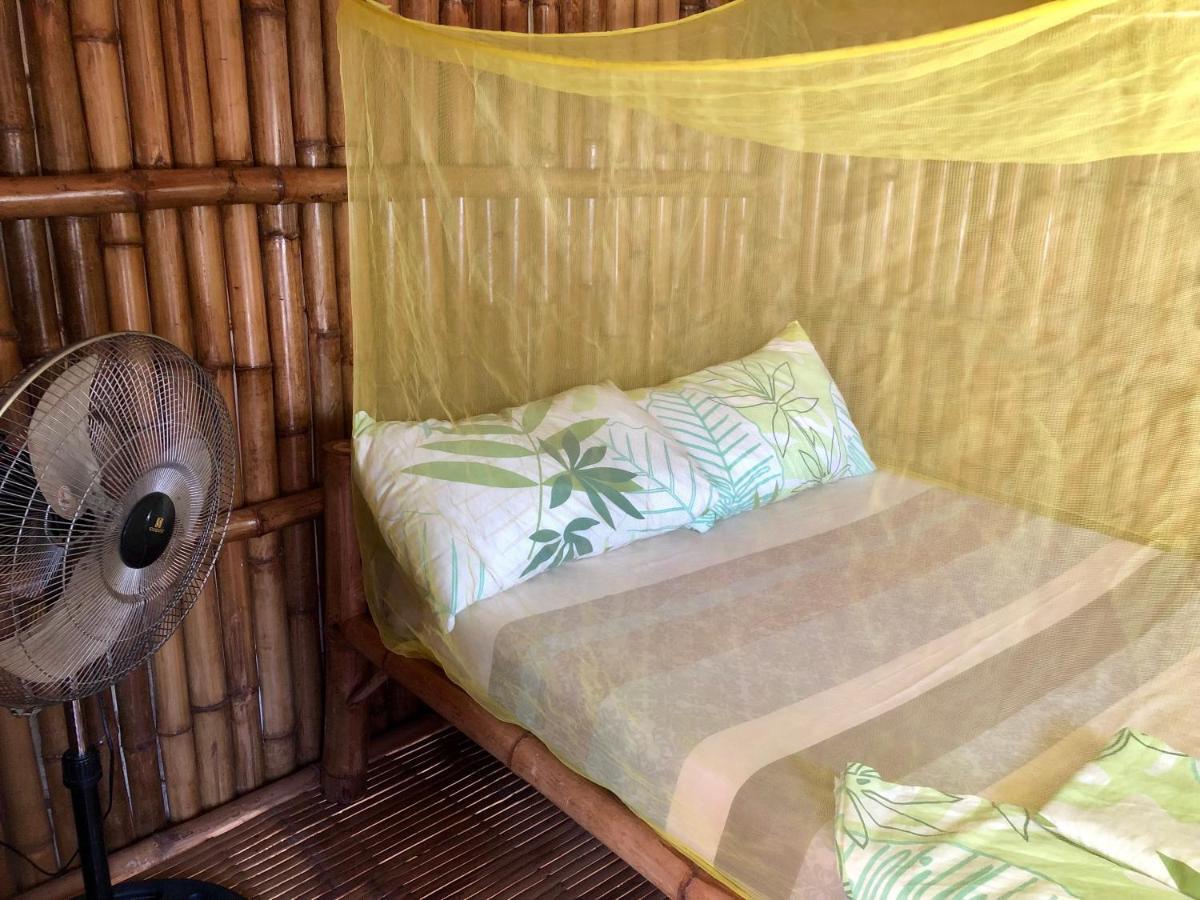 Lionfish Backpackers (adults Only) Hostel