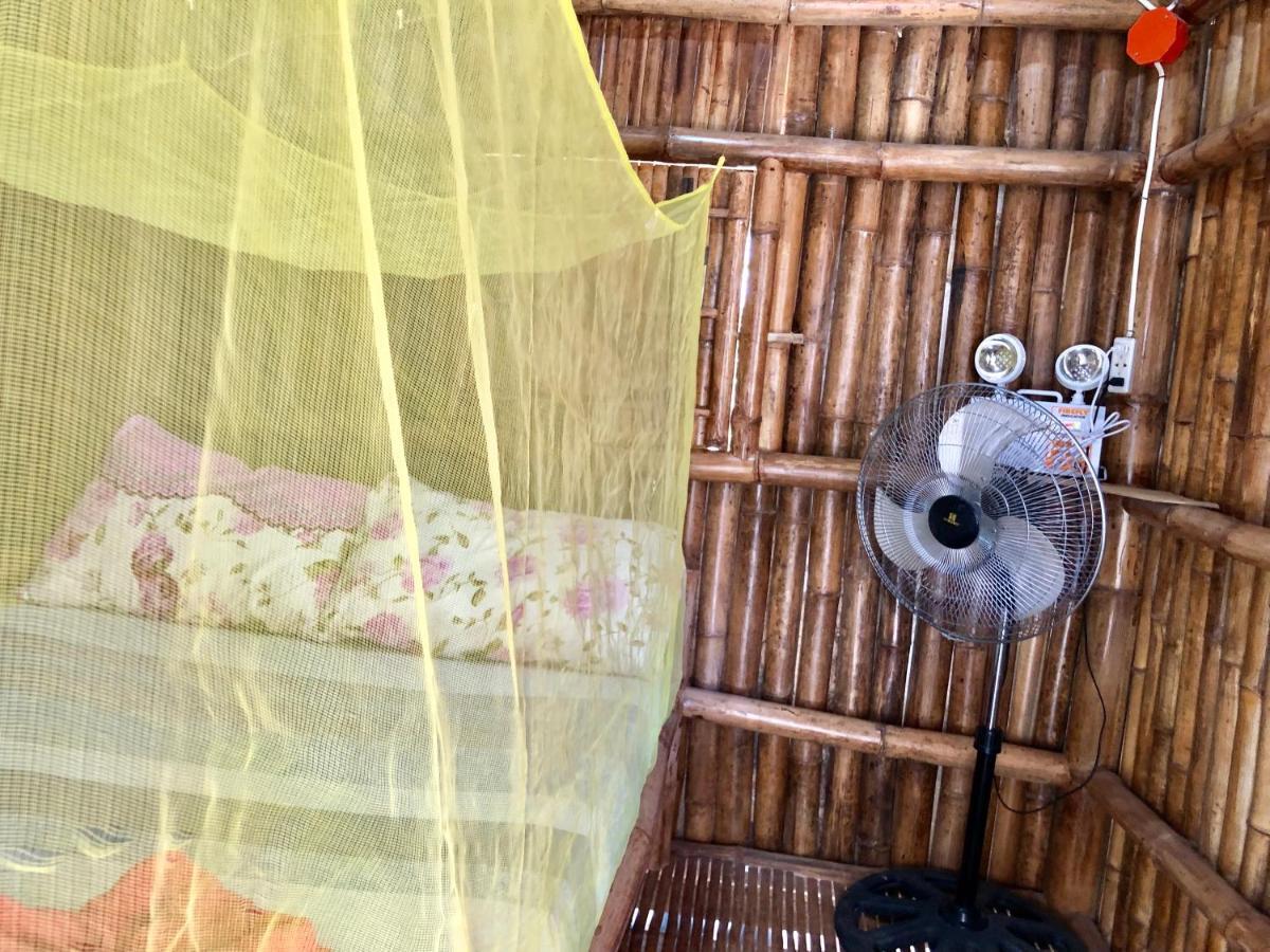 Lionfish Backpackers (adults Only) Logon