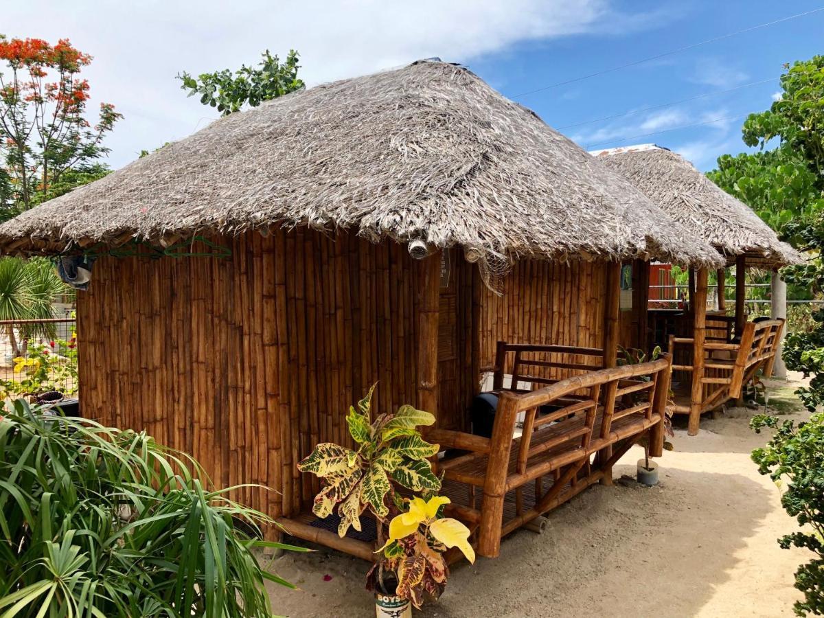 Lionfish Backpackers (adults Only) Hostel