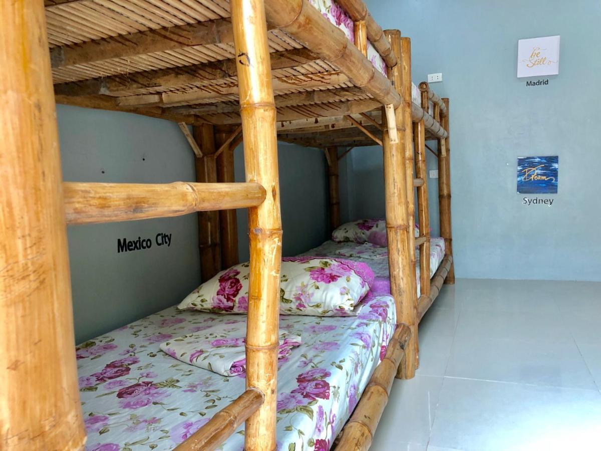 Lionfish Backpackers (adults Only) * Logon