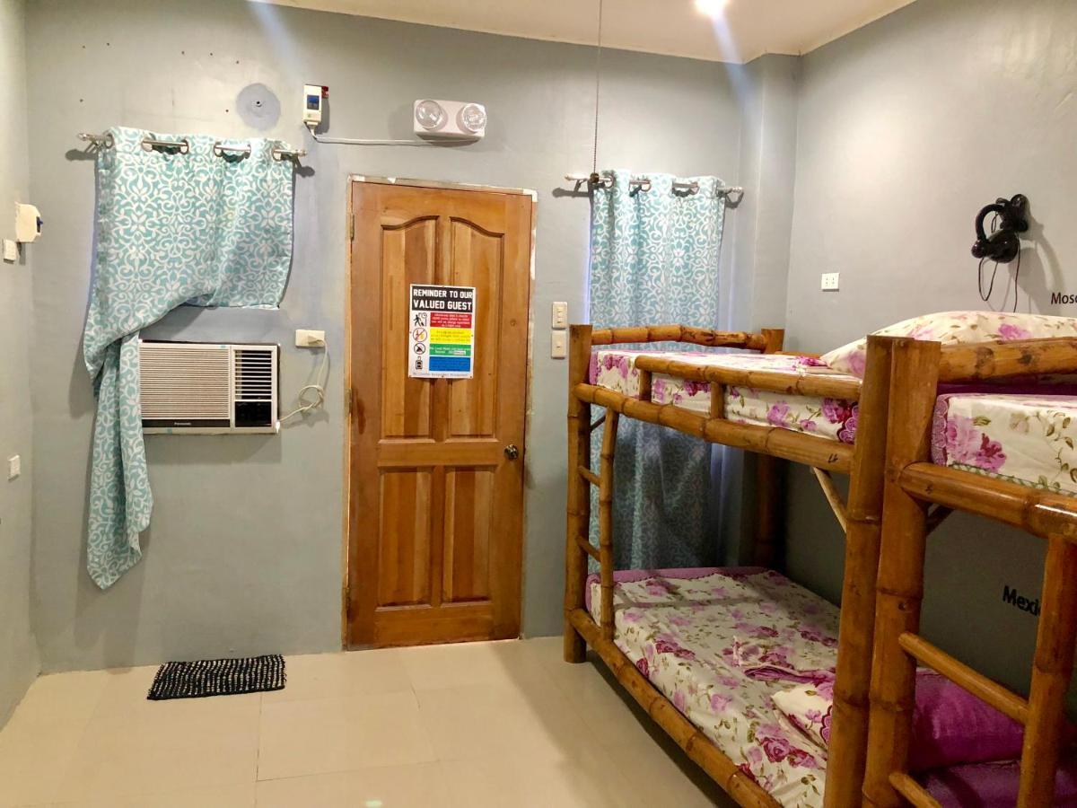 Hostel Lionfish Backpackers (adults Only)