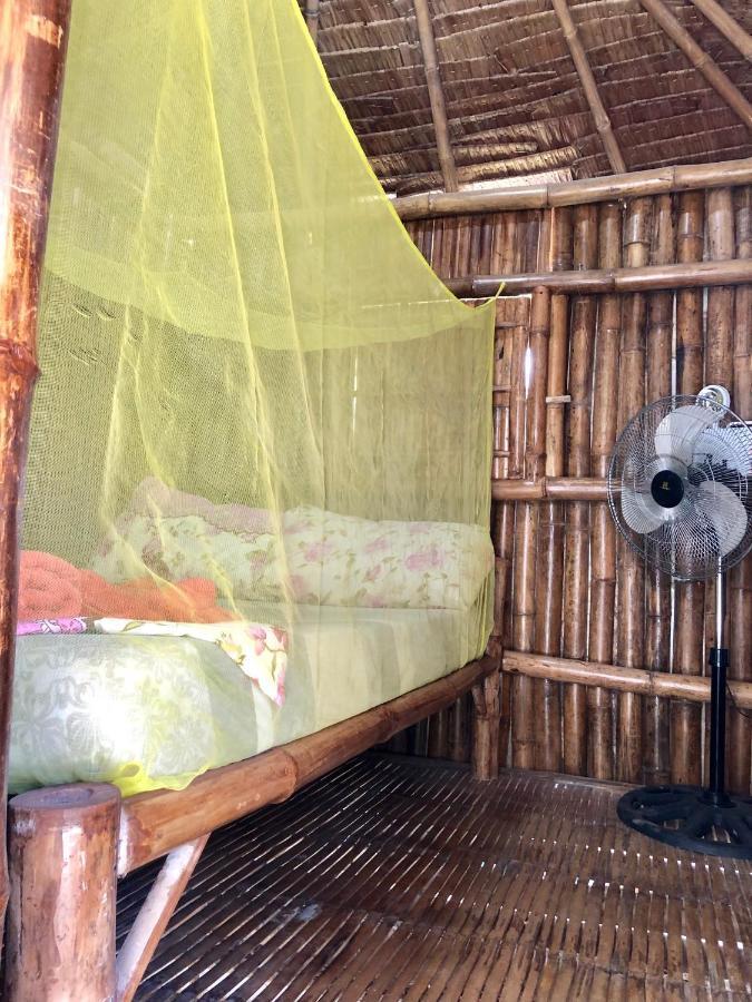 Hostel Lionfish Backpackers (adults Only) Logon