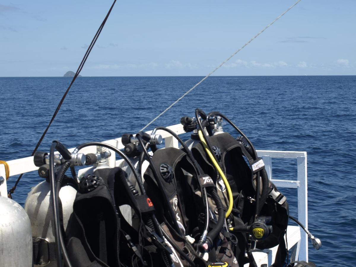 The Shark's Tail Dive 3*