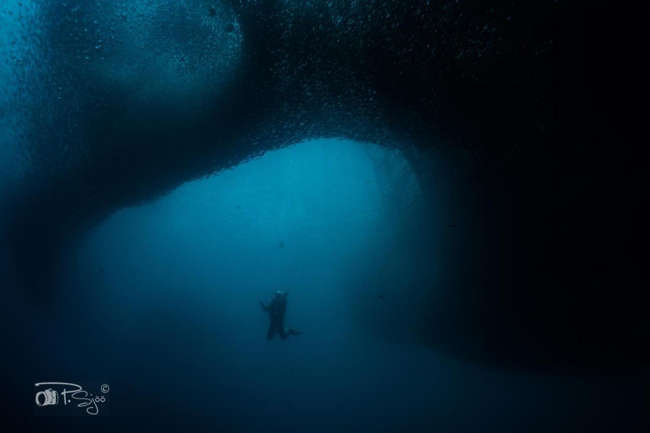 Lodge Divers *