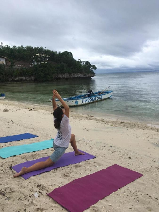 Thresher Cove Dive Resort Logon