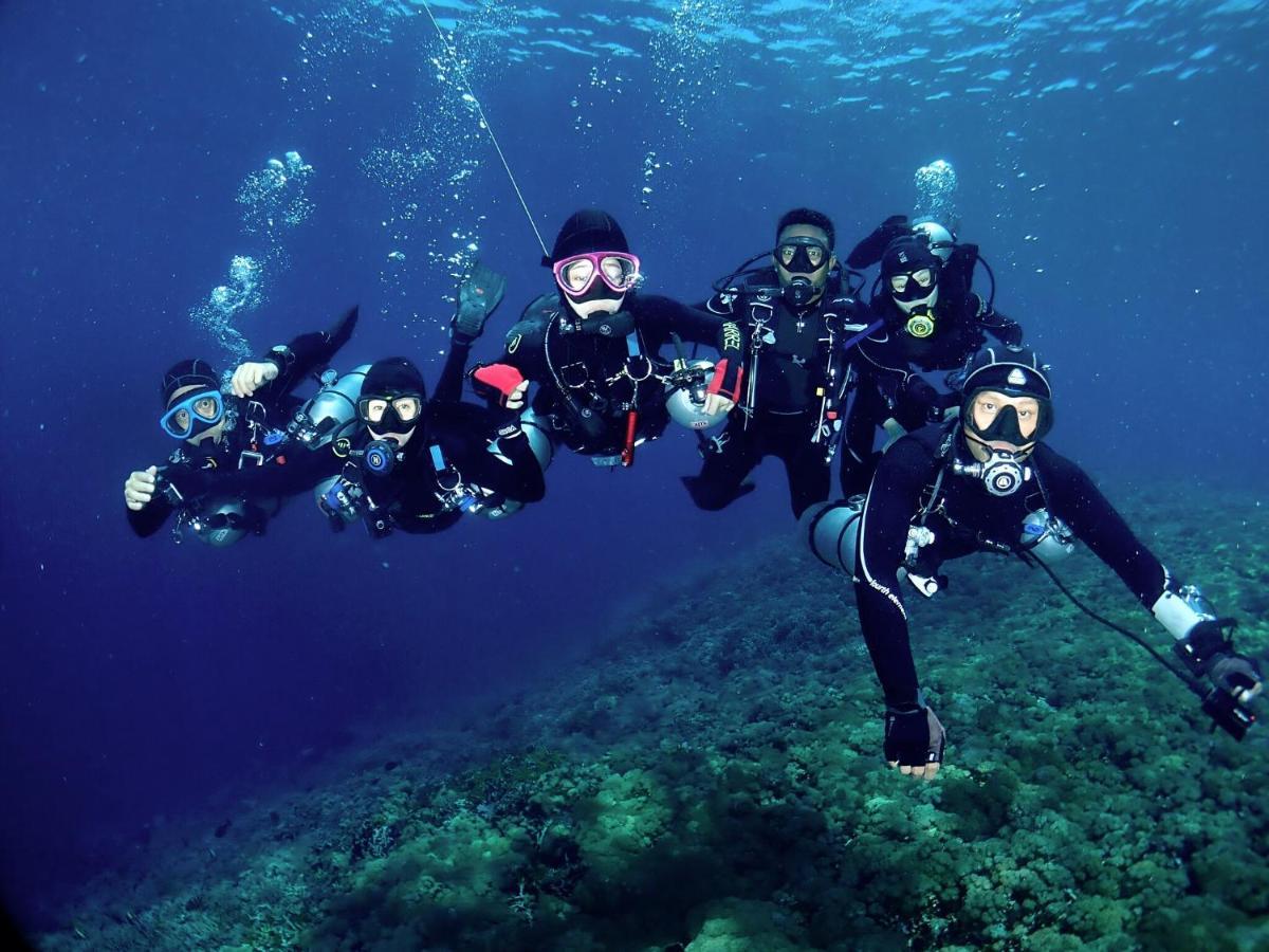 Sugarsea & Dive Shop