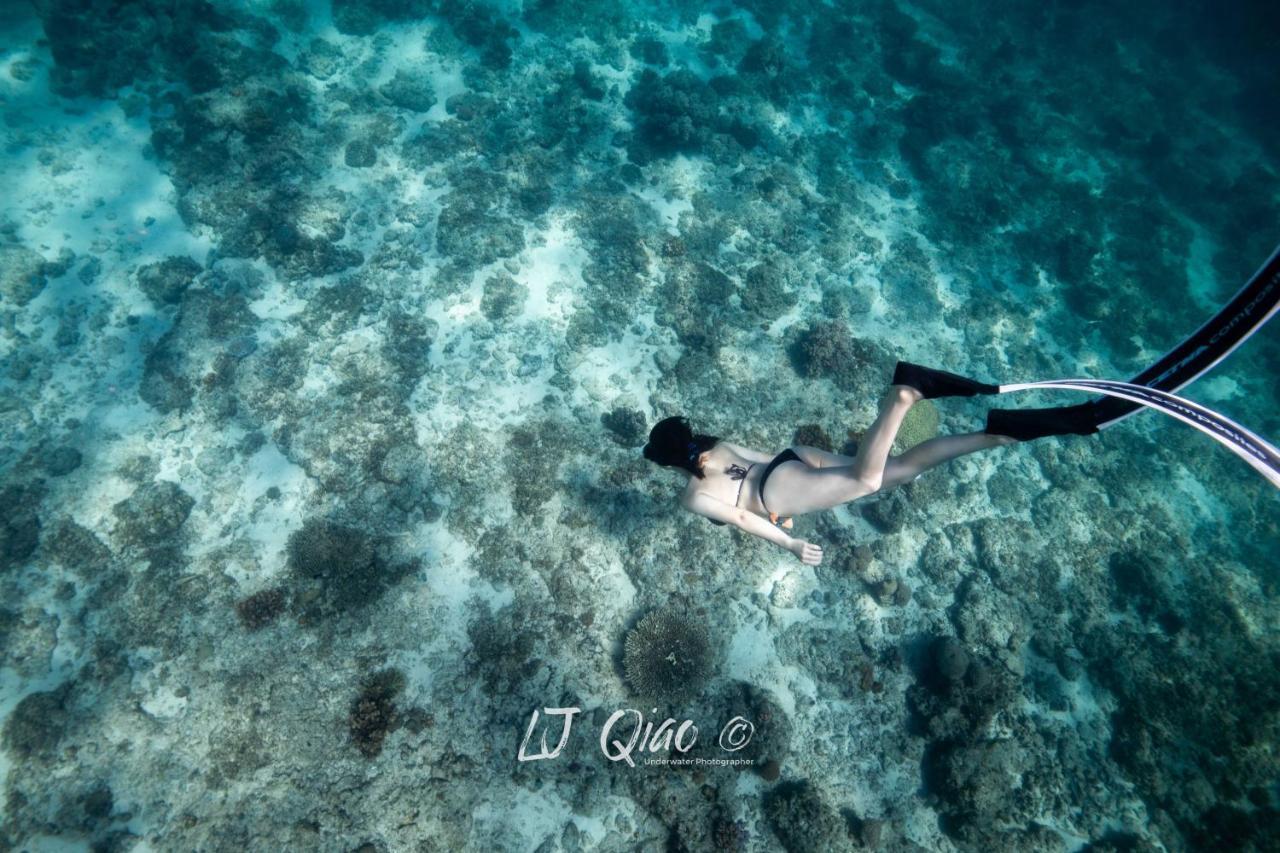 Sugarsea & Dive Shop