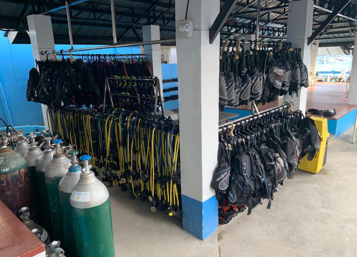 Mactan Seahorse Albergue Lapu-Lapu City