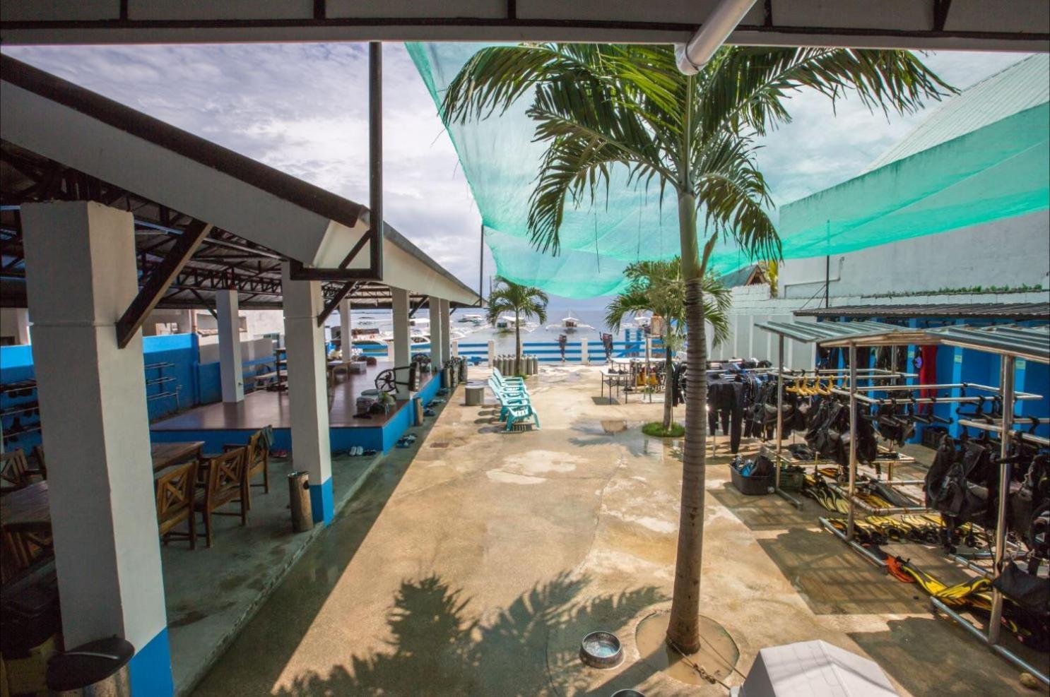 Albergue Mactan Seahorse *