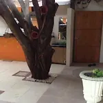 Lux Apartelle