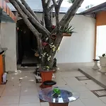 Lux Apartelle