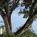Pescador View - Beachfront & By The Ocean Hostels & Restaurant Moalboal