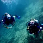 Alegria Dive Resort