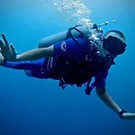 Alegria Dive Resort