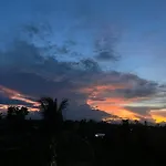La Plumerias
